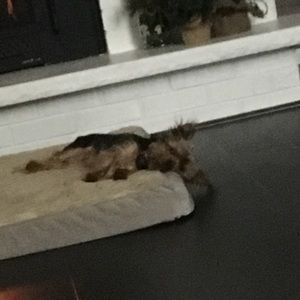 Meet your Posher, Emma